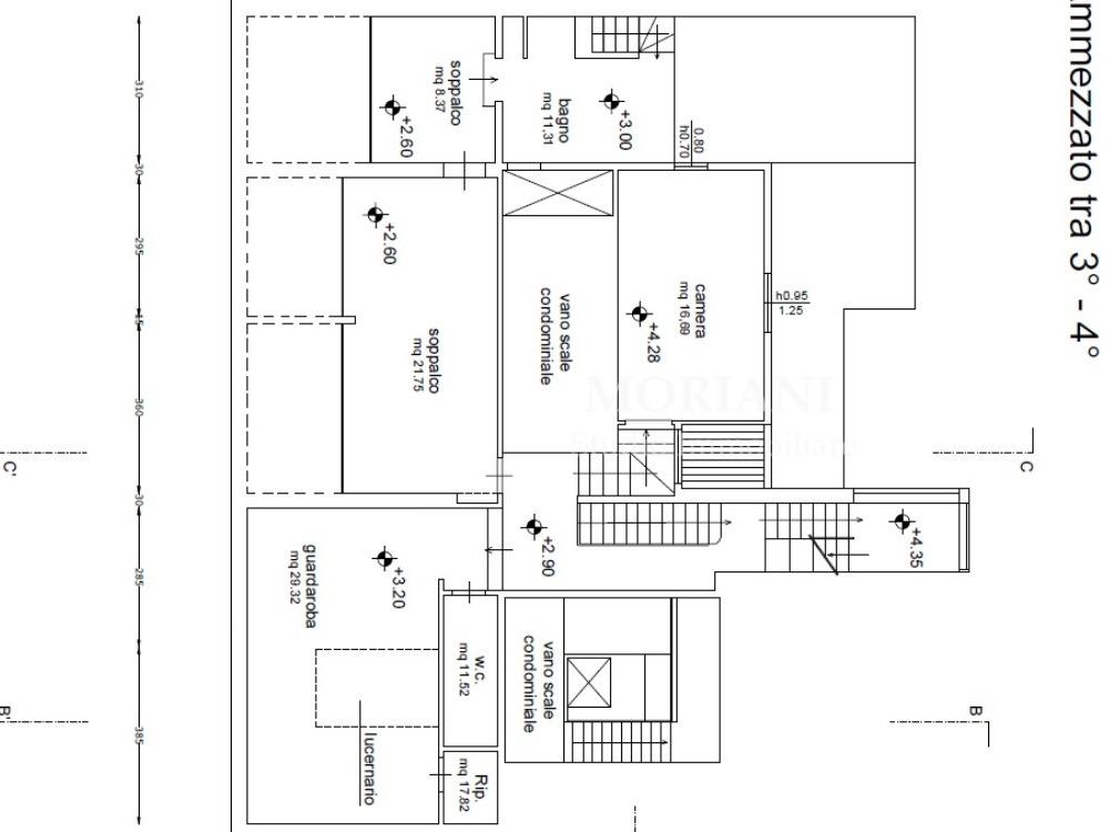 GOLDONI - PLANIMETRIA AMMEZZATO