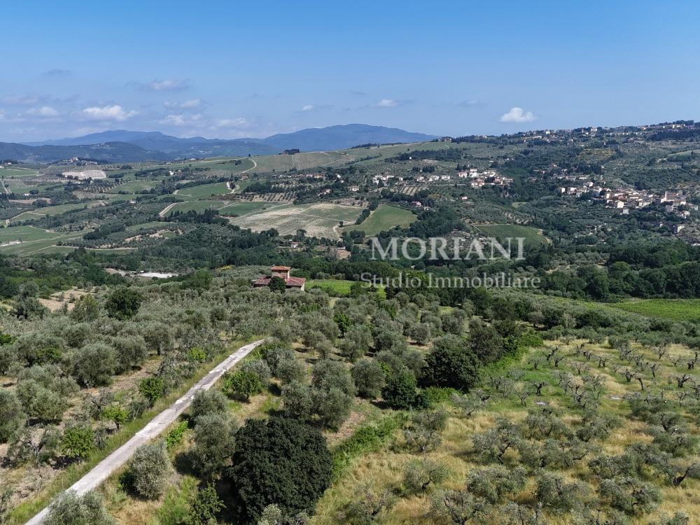 PODERE IL PERACCIO - PANORAMA