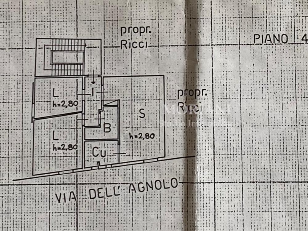 CIOMPI pressi - PLANIMETRIA APPARTAMENTO