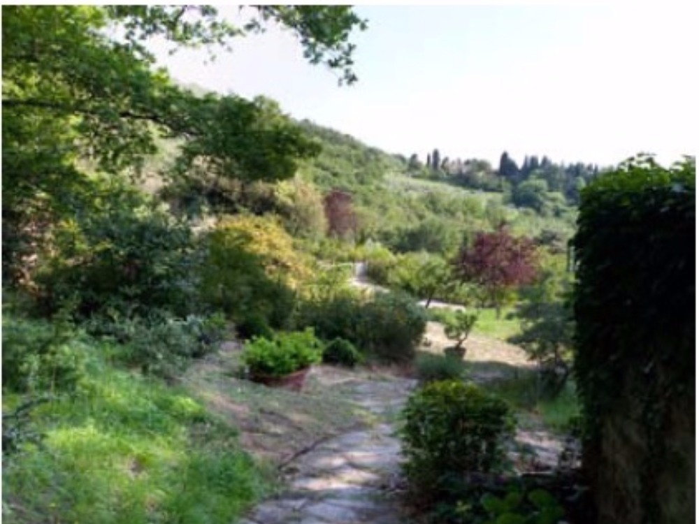 Fiesole Bosconi - Vialetto nel giardino