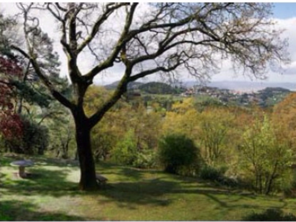 Fiesole porzione Villa piano terreno - Panorama su Fiesole e Firenze