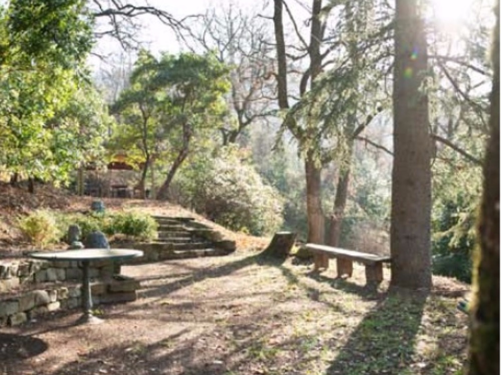 Fiesole terrazzo e giardino Porzione Villa - Veduta del Parco con il piccolo Anfiteatro