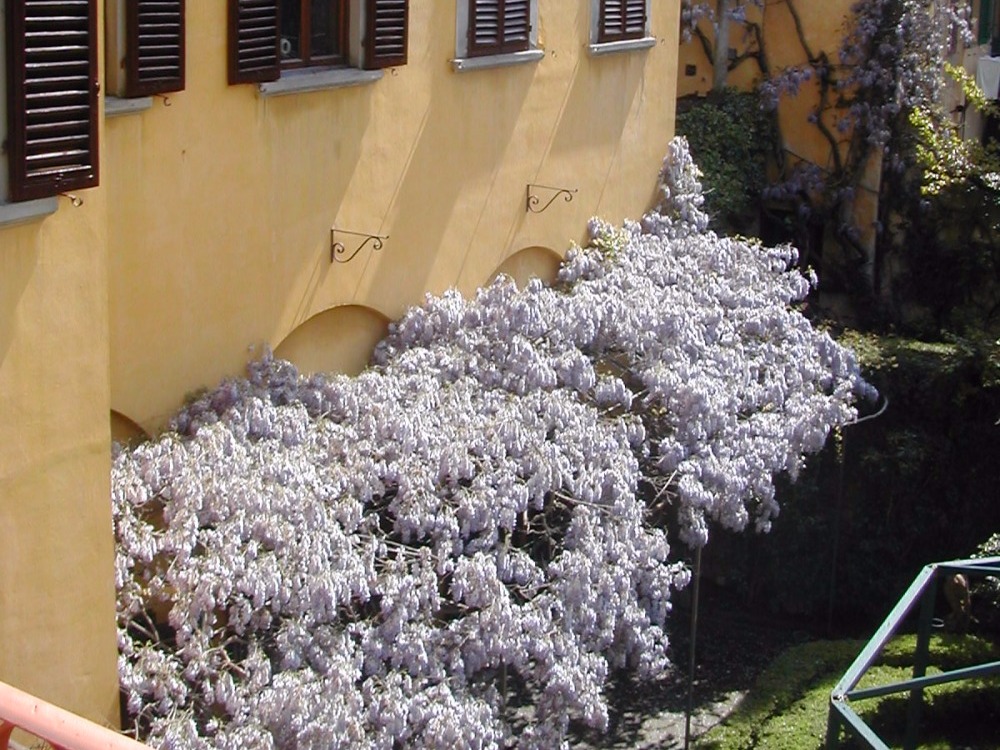 Santo Spirito - Vista