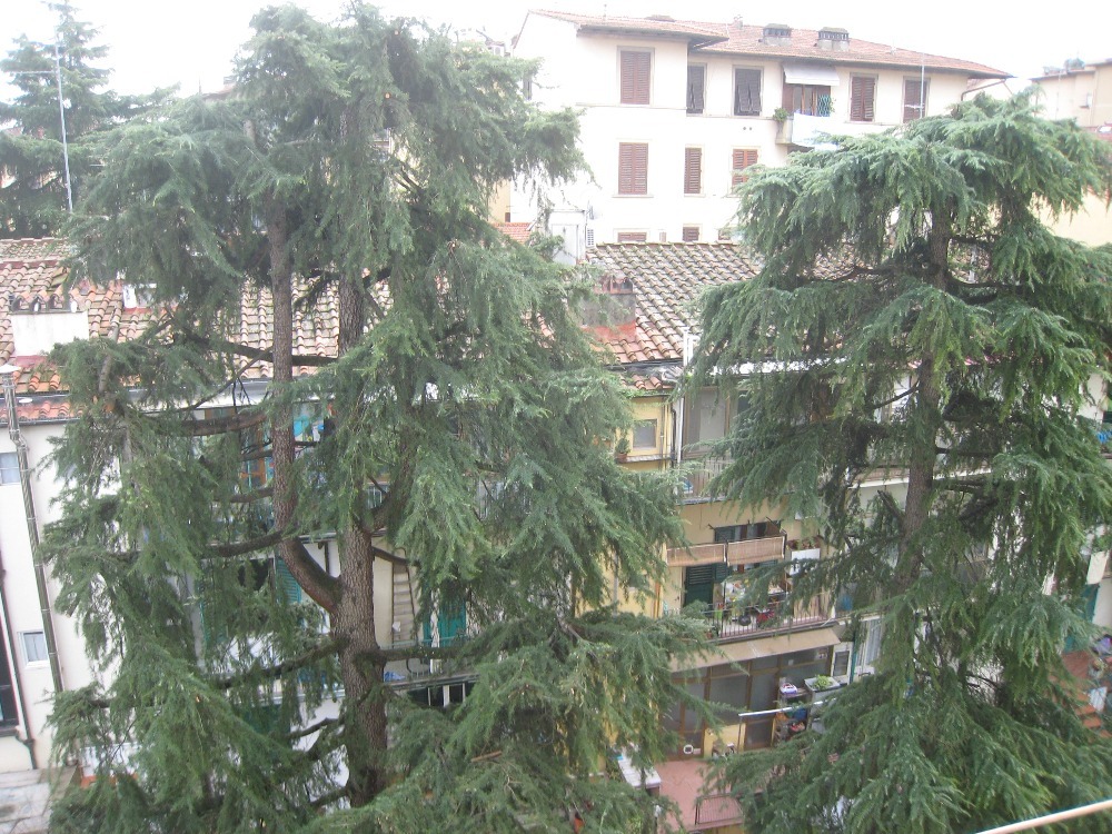 Vittorio Emanuele - Vista