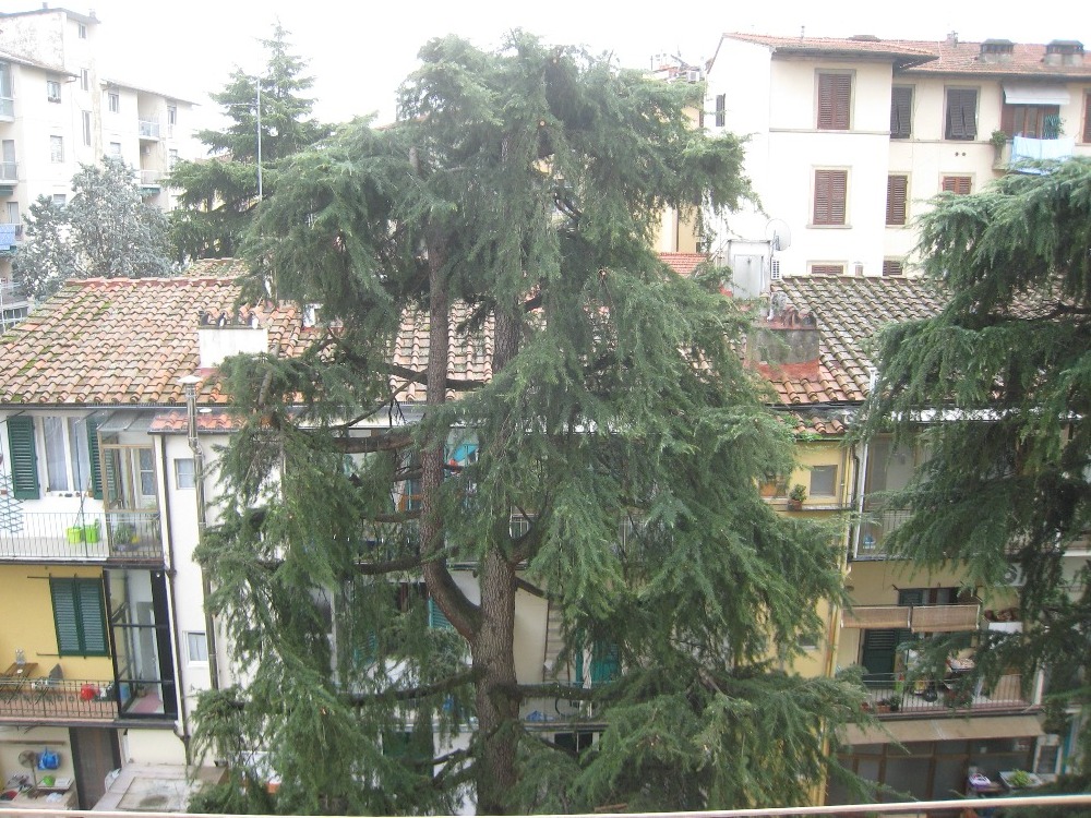 Vittorio Emanuele - Vista